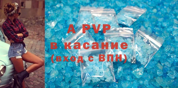 ГАЛЛЮЦИНОГЕННЫЕ ГРИБЫ Заволжье