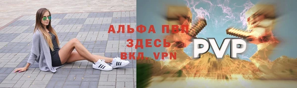 ГАЛЛЮЦИНОГЕННЫЕ ГРИБЫ Заволжье