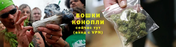 ГАЛЛЮЦИНОГЕННЫЕ ГРИБЫ Заволжье