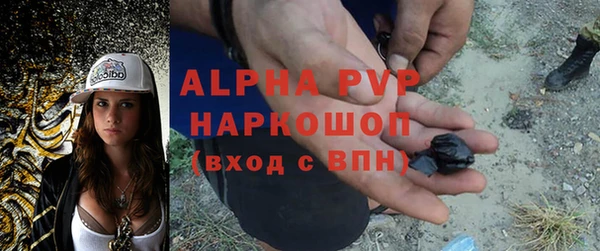 spice Заводоуковск